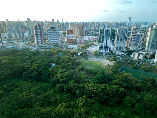Toit solaire : profitez de l'énergie verte avec des panneaux photovoltaïques