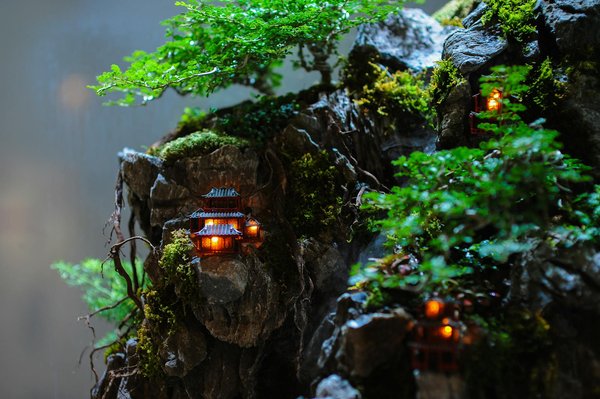 Cuisine Durable : Conseils Pratiques pour Adopter une Gastronomie Écologique